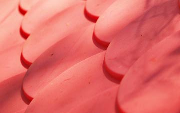 Staplehurst plastic roof costs